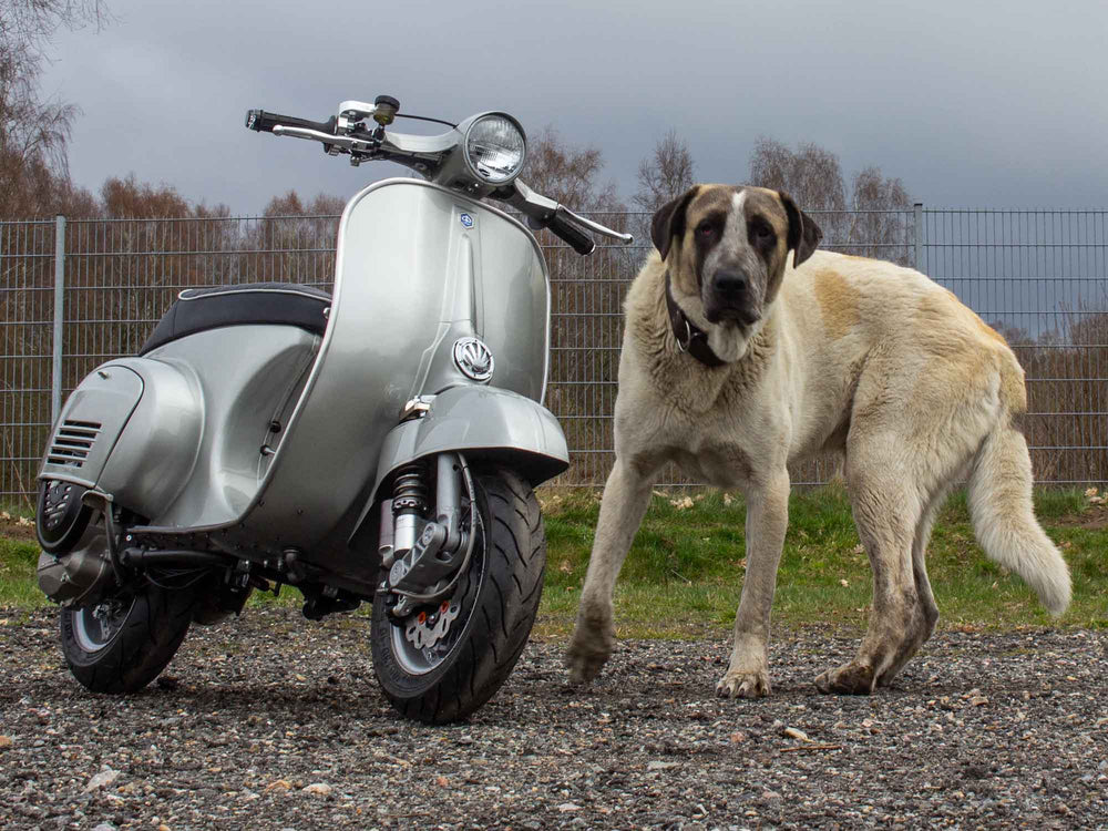 Custom Vespa Umbau V50 mit 200ccm-Motor und Scheibenbremse